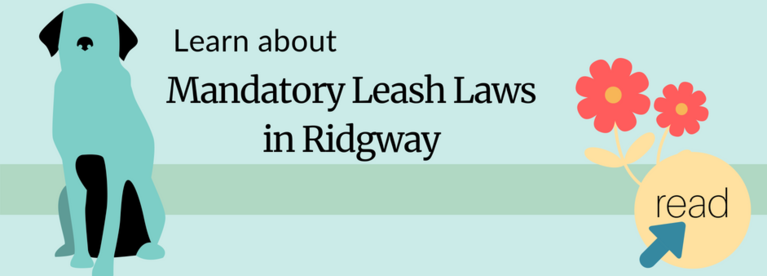 Learn about Mandatory Leash Laws in Ridgway